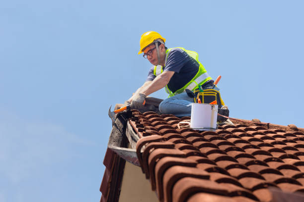 Best Roof Ventilation Installation  in Dunsmuir, CA